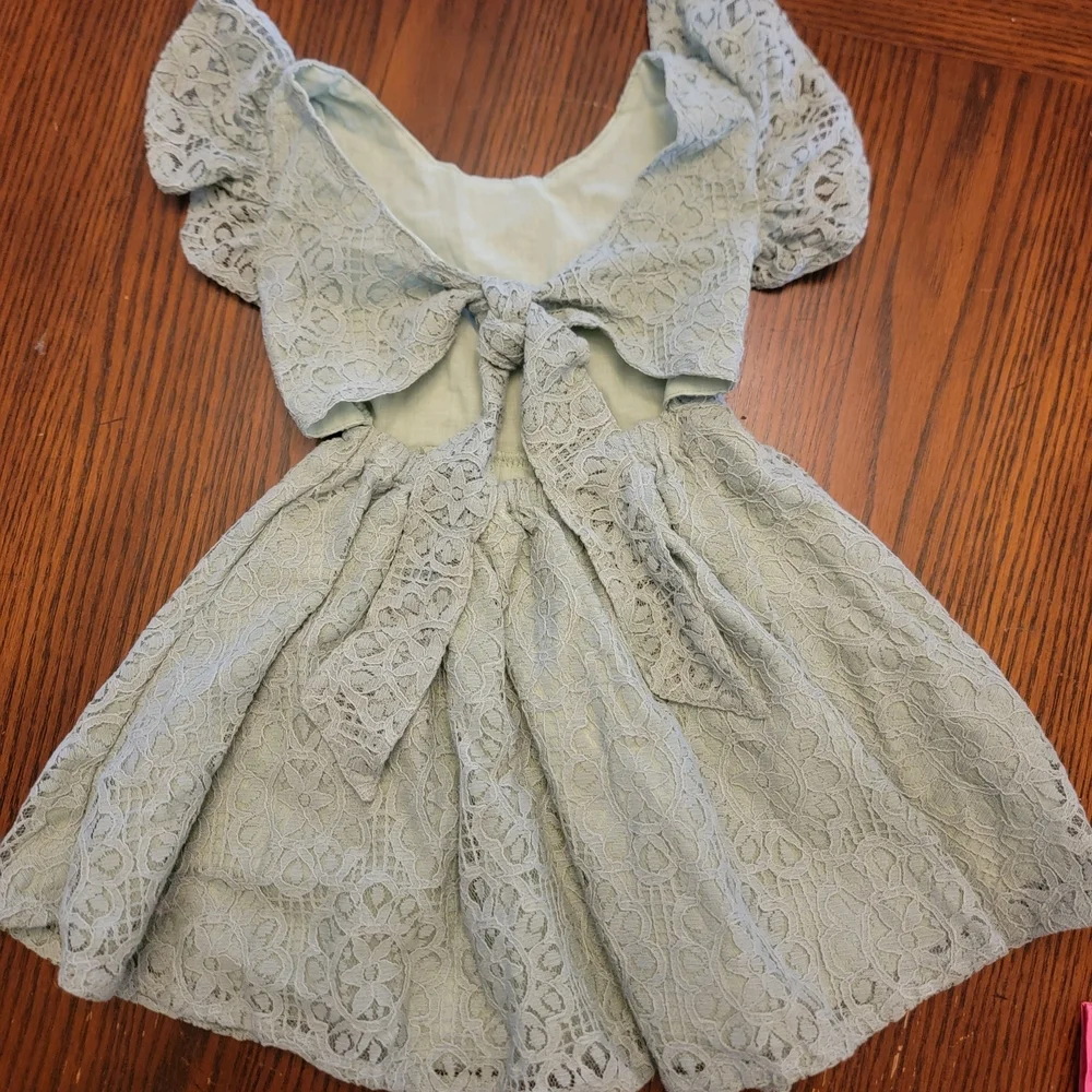 Light Sage Green Lace Fit & Flare Dress with Flutter Sleeves Size 12 Months